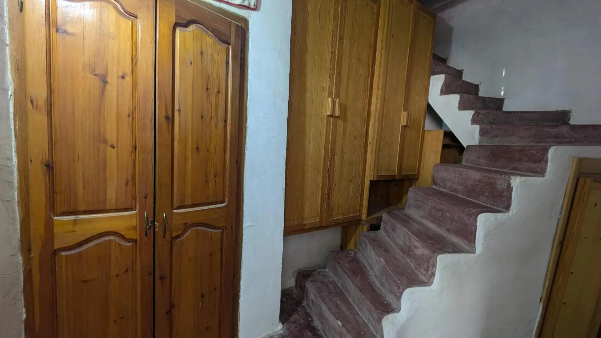 Dar Stefano contacts